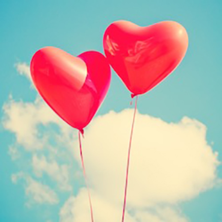 Solidarische Landwirtschaft